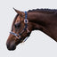 Lumi Pony Hollywood Leather Halter - Equine Horse Wear