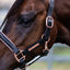 Lumi Pony Hollywood Leather Halter - Equine Horse Wear
