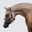 Lumi Pony Hollywood Leather Halter - Equine Horse Wear