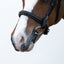 Lumi Pony Megan Convertible Leather Bridle