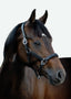 Lumi Pony Vegas Glitter Leather Halter - Equine Horse Wear