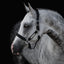 Lumiere Alize Leather Halter - Equine Horse Wear
