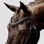 Lumiere Arcadia Cavesson Luxury Leather Bridle - Equine Horse Wear