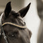 Lumiere Ariana Browband - Equine Horse Wear