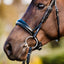 Lumiere Aurelie Rolled Leather Cavesson Bridle - Equine Horse Wear