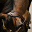 Lumiere Dallas Bridle - Equine Horse Wear