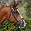 Lumiere Delaney Bridle - Equine Horse Wear