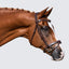 Lumiere Delaney Bridle - Equine Horse Wear