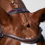 Lumiere Delaney Bridle - Equine Horse Wear