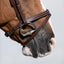 Lumiere Delaney Bridle - Equine Horse Wear
