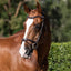 Lumiere Delaney Bridle - Equine Horse Wear