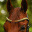 Lumiere Delta Browband - Equine Horse Wear
