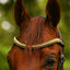 Lumiere Delta Cavesson Bridle - Equine Horse Wear