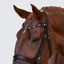 Lumiere Demi Bridle - Equine Horse Wear