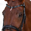 Lumiere Demi Bridle - Equine Horse Wear