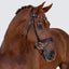 Lumiere Demi Bridle - Equine Horse Wear