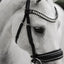 Lumiere Diva Cavesson Bridle - Equine Horse Wear