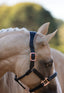 Lumiere Hollywood Leather Halter - Equine Horse Wear
