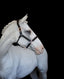 Lumiere Hollywood Leather Halter - Equine Horse Wear