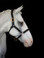 Lumiere Hollywood Leather Halter - Equine Horse Wear