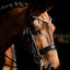 Lumiere Madeline Luxury Leather Double Bridle - Equine Horse Wear