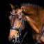 Lumiere Madeline Luxury Leather Double Bridle - Equine Horse Wear