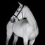 Lumiere Margaux Bridle - Equine Horse Wear