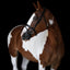 Lumiere Margaux Bridle - Equine Horse Wear