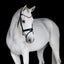 Lumiere Margaux Bridle - Equine Horse Wear