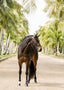 Lumiere Megan Convertible Leather Bridle - Equine Horse Wear
