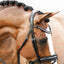 Lumiere Melodie Classic Bridle - Equine Horse Wear