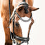 Lumiere Melodie Classic Bridle - Equine Horse Wear