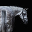 Lumiere Melodie White Padded Bridle - Equine Horse Wear
