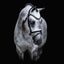 Lumiere Melodie White Padded Bridle - Equine Horse Wear