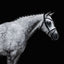 Lumiere Melodie White Padded Bridle - Equine Horse Wear