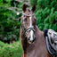 Lumiere Melodie White Padded Bridle - Equine Horse Wear
