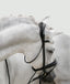 lumiere mercie rolled patent bridle side view on horse kiwipetz