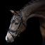 Lumiere Mercury Bridle - Equine Horse Wear