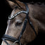 Lumiere Mercury Bridle - Equine Horse Wear