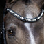 Lumiere Mercury Bridle - Equine Horse Wear