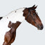 Lumiere Sansa Nosbeandless Bridle - Equine Horse Wear