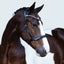 Lumiere Santiago Bitless Bridle - Equine Horse Wear