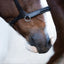 Lumiere Santiago Bitless Bridle - Equine Horse Wear