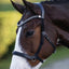 Lumiere Santiago Bitless Bridle - Equine Horse Wear