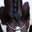 Lumiere Santiago Bitless Bridle - Equine Horse Wear