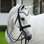 Lumiere Saphira Double Bridle - Equine Horse Wear
