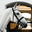 Lumiere Saphira Double Bridle - Equine Horse Wear