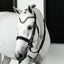 Lumiere Saphira Double Bridle - Equine Horse Wear