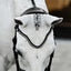Lumiere Saphira Double Bridle - Equine Horse Wear