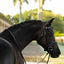 Lumiere Saphira Snaffle - Equine Horse Wear